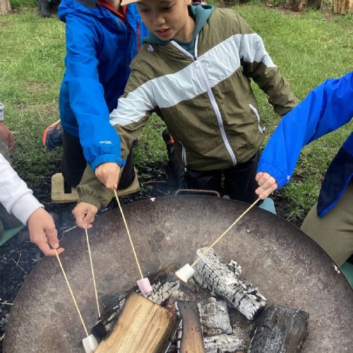 Campfire fun