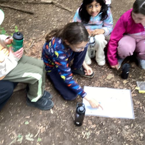 Den building in the woods.