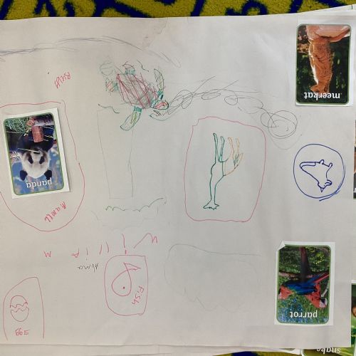 Term 6 - Week 1 - Paper Zoos