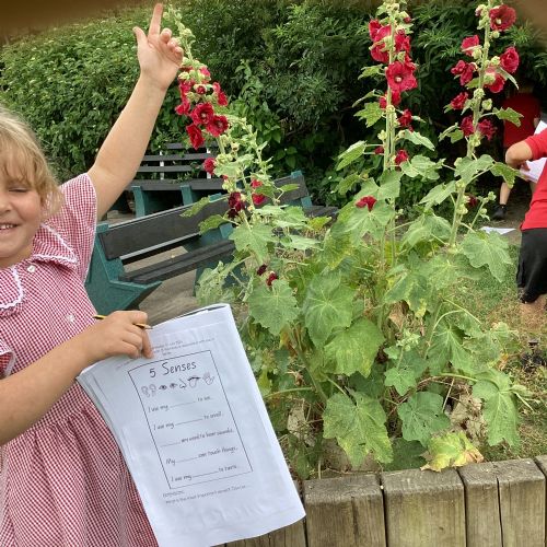 Term 6 - Week 5 - Senses hunt