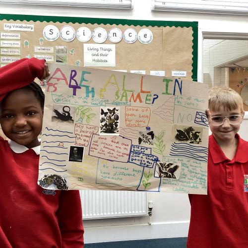 STEM week 2025