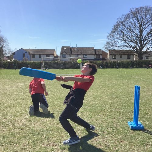 Cricket