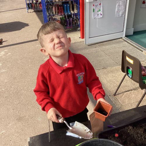 Planting our cress seeds