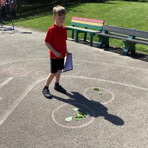 Making equal groups in maths