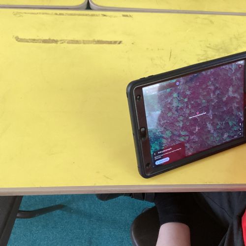 Exploring Google maps
