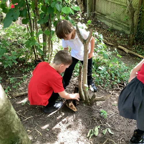 Owls enjoying Forest School