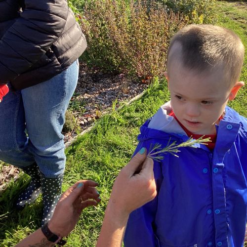 We enjoyed a sunny walk to the allotment and helped to plant beans and harvest tomatoes and carrots!