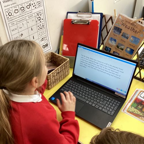 Week 7 - Writing stories with our buddies on a laptop
