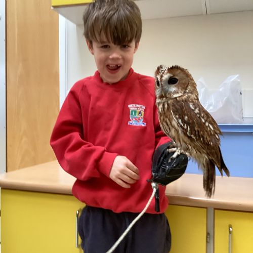 We had some special visitors land today!