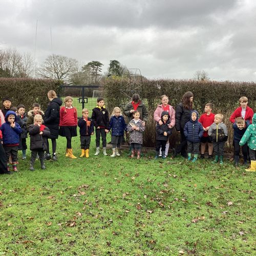 Week 6 - Planting trees with our buddies