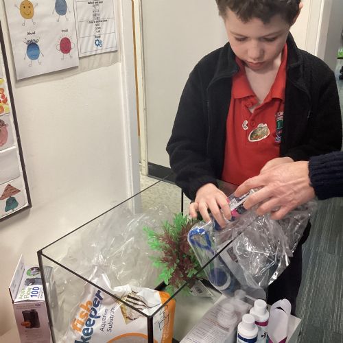 'Fishkeeper Fry' excitement!