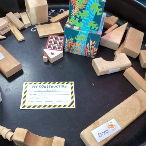 Term 3 - Week 1 - Small world builds