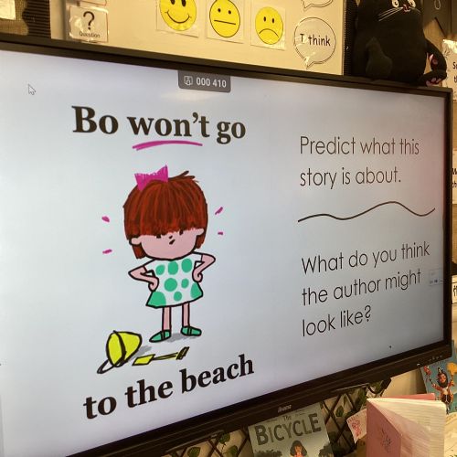 Term 4 - Week 3 - Bo Won't Go – What is the story about and what have we been afraid of doing, that turned out great