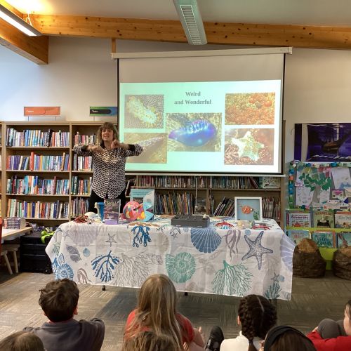 Author visit - Sue Palmer