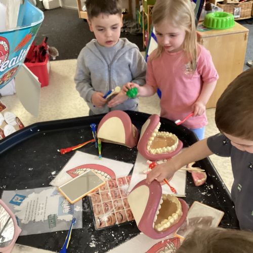 The Dentist came to visit us