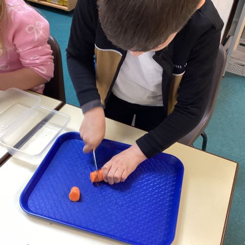 Term 4 - Week 5 - Making salads in DT