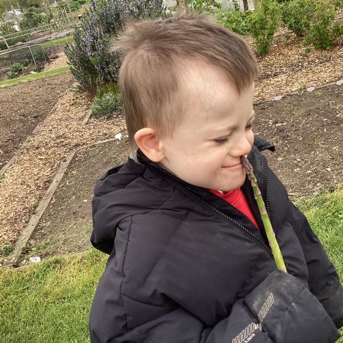 Our visit to the allotment.